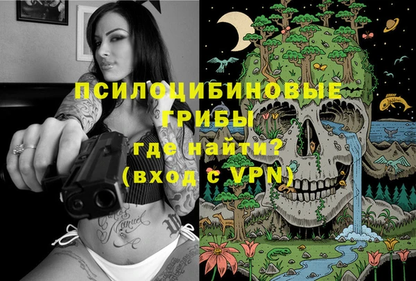 бошки Аркадак