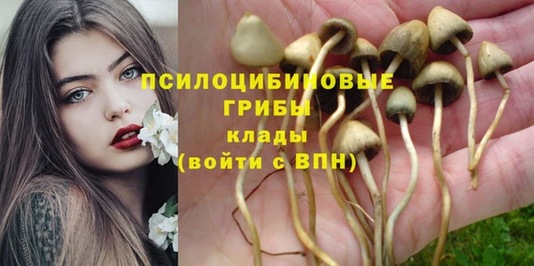 бошки Аркадак